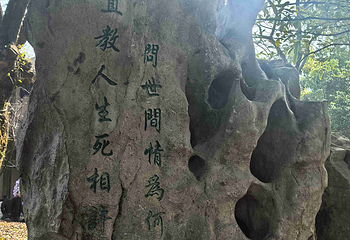 沈园第 74 张图片