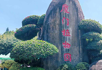 厦门园林植物园第 95 张图片