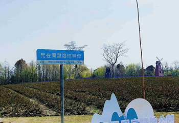 同里国家湿地公园第 107 张图片