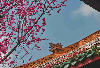 望江楼公园第 46 张图片
