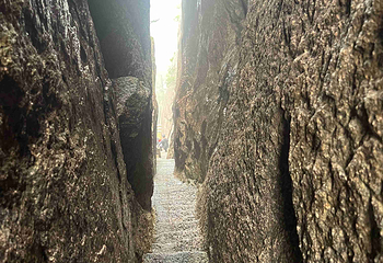 黄山风景区第 505 张图片