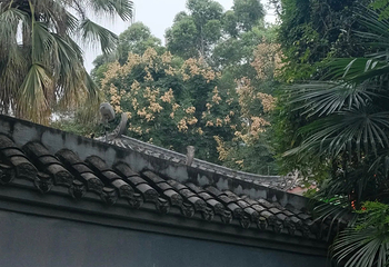 塔子山公园第 41 张图片