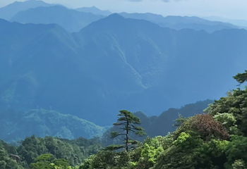 三清山风景区第 264 张图片