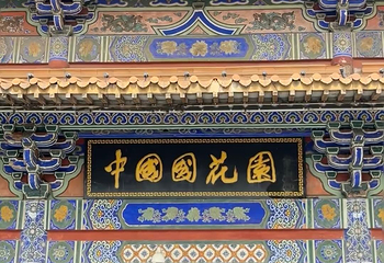 中国国花园第 102 张图片