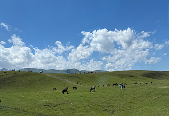 那拉提旅游风景区第 142 张图片