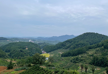 云和梯田景区第 84 张图片