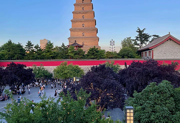 大雁塔北广场第 49 张图片