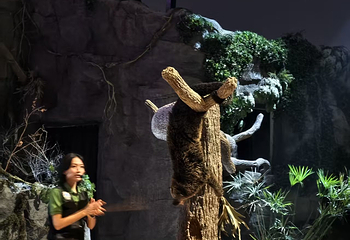 夜间野生动物园第 101 张图片