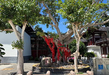 三亚南山文化旅游区第 96 张图片