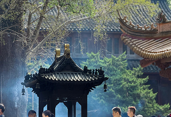 普陀山风景区第 137 张图片