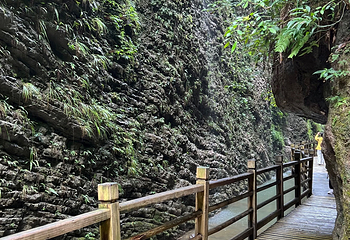 张家界大峡谷第 140 张图片