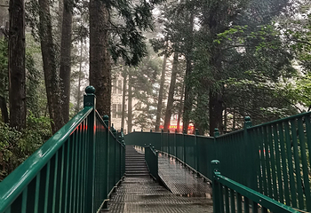 庐山风景名胜区第 361 张图片