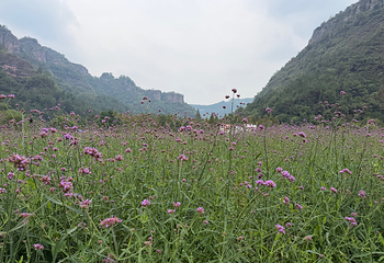 十九峰第 48 张图片