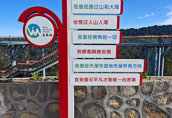 王莽岭风景区第 48 张图片
