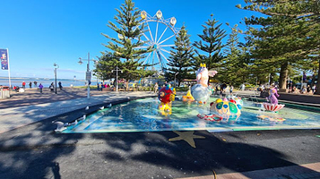 Pelican Time with Marine Wildlife Rescue Central Coast
