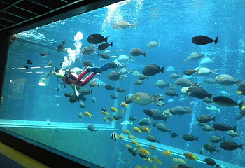箱根园水族馆第 14 张图片