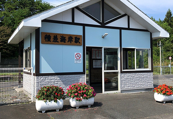 种差海岸第 24 张图片