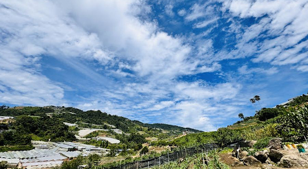 Jim’s Vegetable Farm