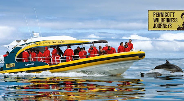 Pennicott Wilderness Journeys