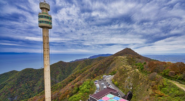 弥彦山顶大平园地