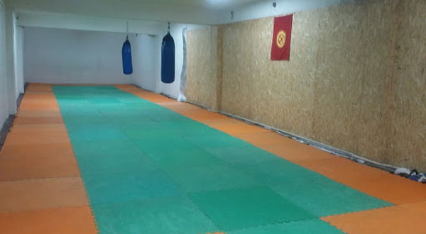 Спортивный Клуб «Арстан» По Олимпийскому Виду Спорта ТАЭКНВОНДО WTF