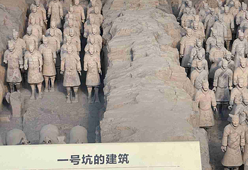 秦始皇帝陵博物院(兵马俑)第 427 张图片