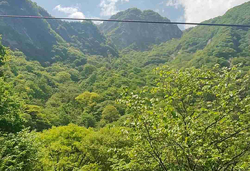 太平国家森林公园第 86 张图片