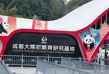 成都大熊猫繁育研究基地第 83 张图片