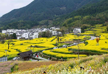 江岭景区第 86 张图片