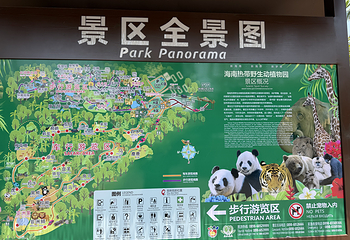 海南热带野生动植物园第 57 张图片