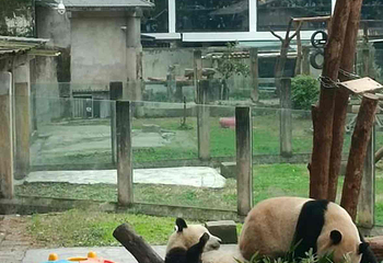 重庆动物园第 188 张图片