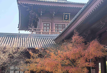 牛首山文化旅游区第 449 张图片