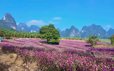 峒那屿湾景区第 112 张图片