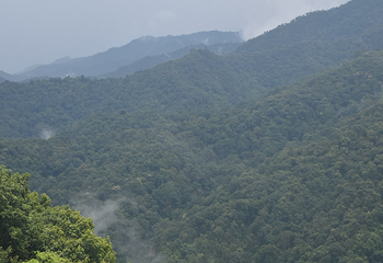 Skyline Adventure 清迈丛林飞跃第 34 张图片