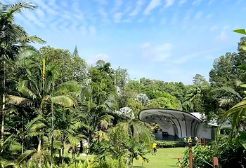 新加坡植物园第 71 张图片
