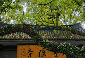 灵隐飞来峰景区第 71 张图片