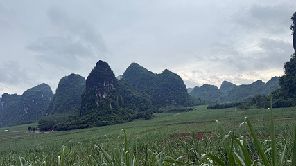 白头叶猴生态旅游区第 18 张图片
