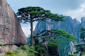 黄山风景区第 168 张图片