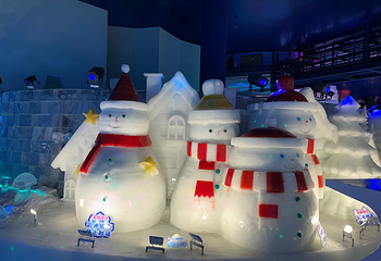 哈尔滨冰雪大世界第 345 张图片
