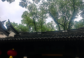 天一阁博物院第 244 张图片