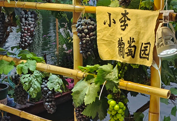 上海蟠龙新天地第 62 张图片