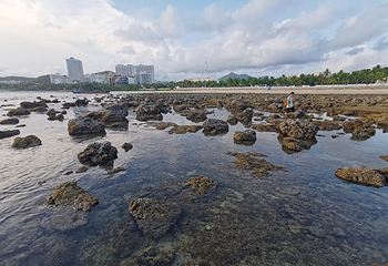 后海村第 70 张图片