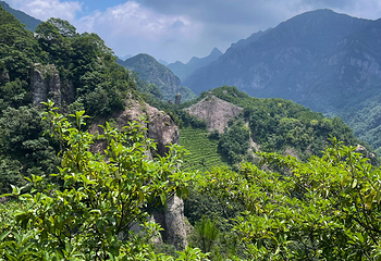雁荡山第 81 张图片