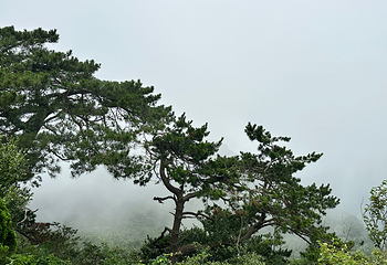 庐山风景名胜区第 147 张图片