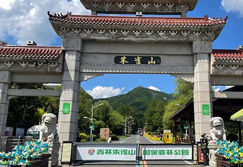 朱雀山国家森林公园第 7 张图片
