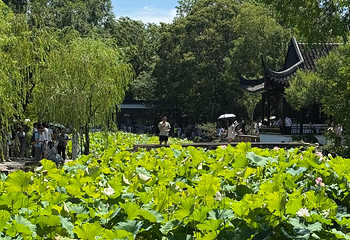 拙政园第 304 张图片