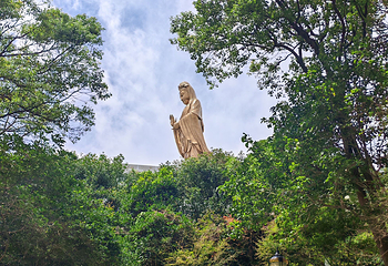 普陀山风景区第 253 张图片