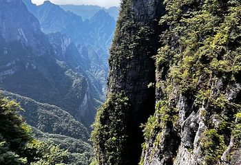 天门山国家森林公园第 391 张图片