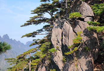 黄山风景区第 241 张图片