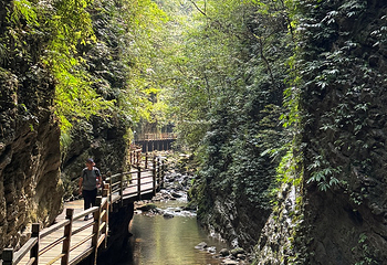 张家界大峡谷第 136 张图片
